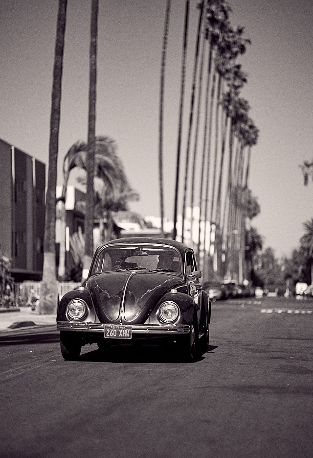 Old friend on Carlton Way in Hollywood. Leica M10 with Leica 75mm Noctilux-M ASPH f/1.25. © 2018 Thorsten von Overgaard. 